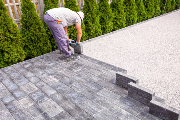 Best Decorative Driveway Pavers  in Maxwell, CA