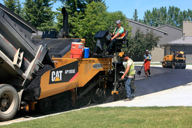 Best Driveway Pavers Near Me  in Maxwell, CA